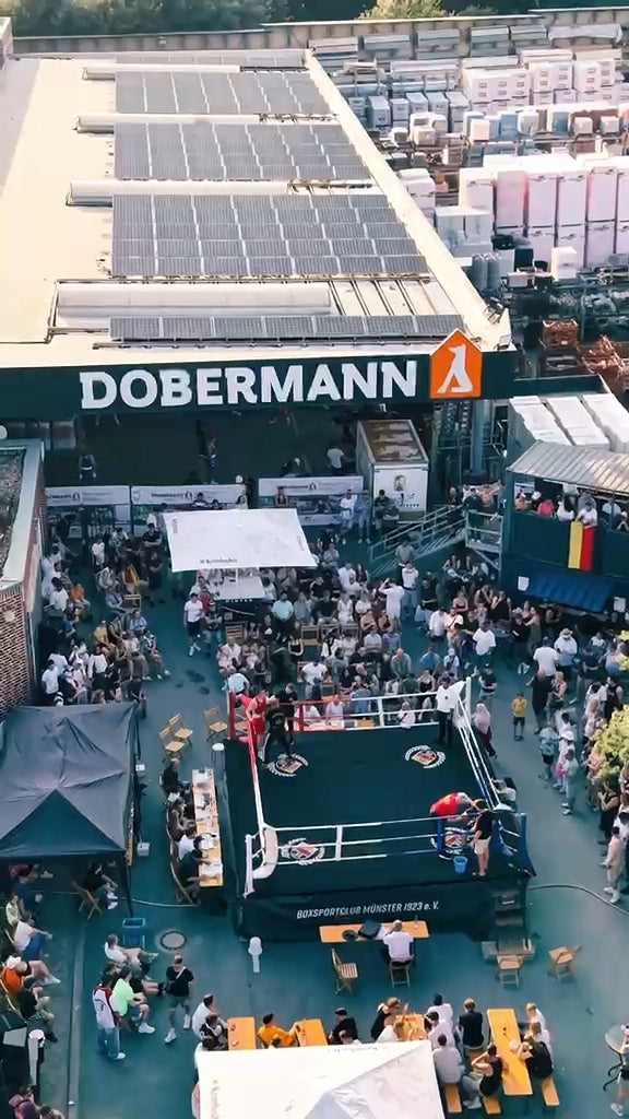 Dobermann Cup 2026 - Open Air Boxen in Münster