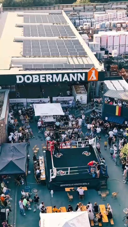 Dobermann Cup 2026 - Open Air Boxen in Münster